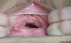 免种族间的爱卡附近的猫同性恋冠军